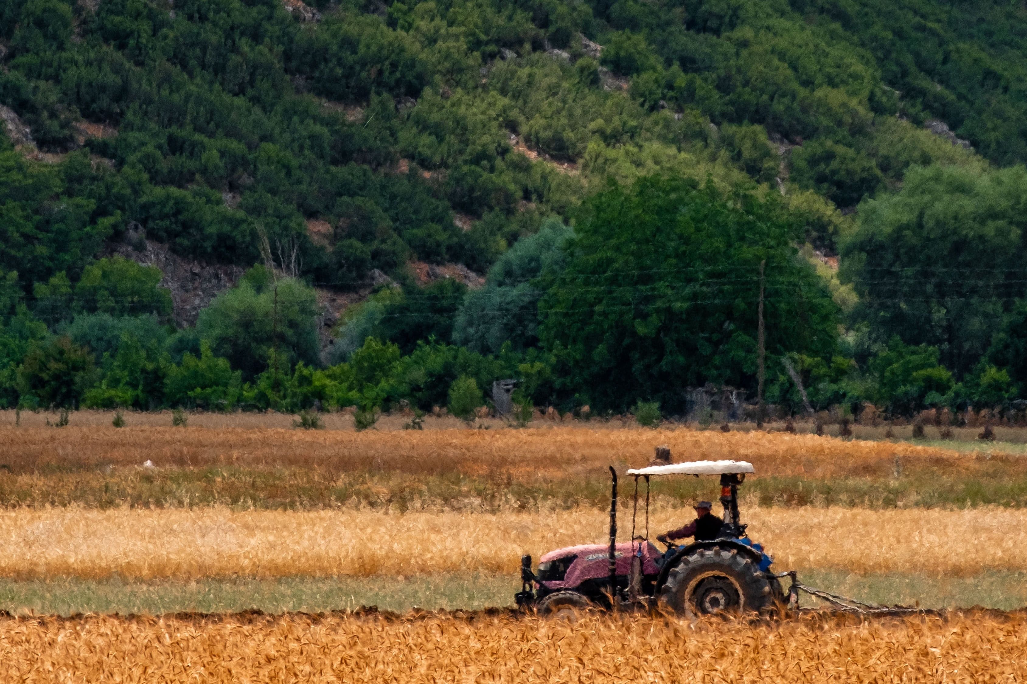 Tractor arando un campo